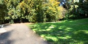Ludwig-Lesser-Park