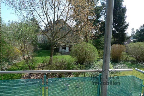 Grünblick vom Balkon