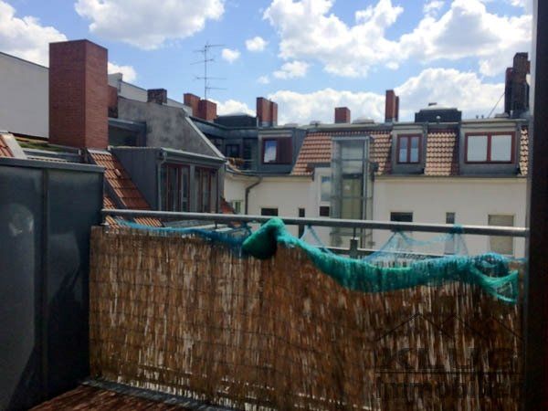 Blick von der Terrasse