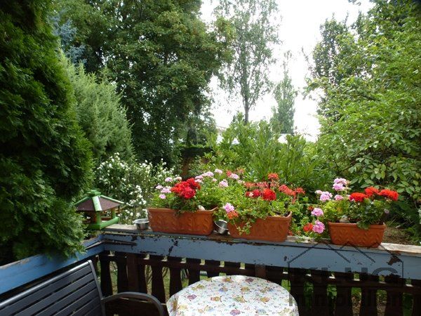 Blick vom Balkon