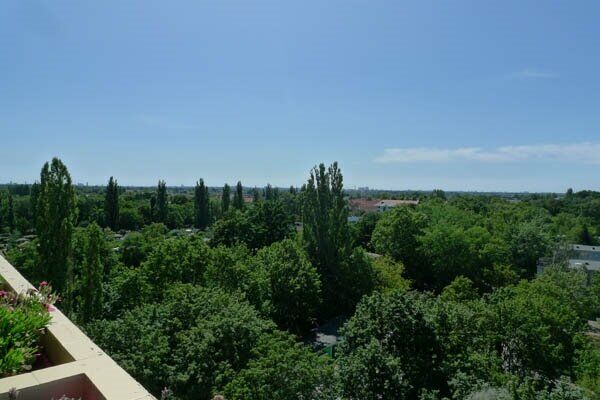Weitblick