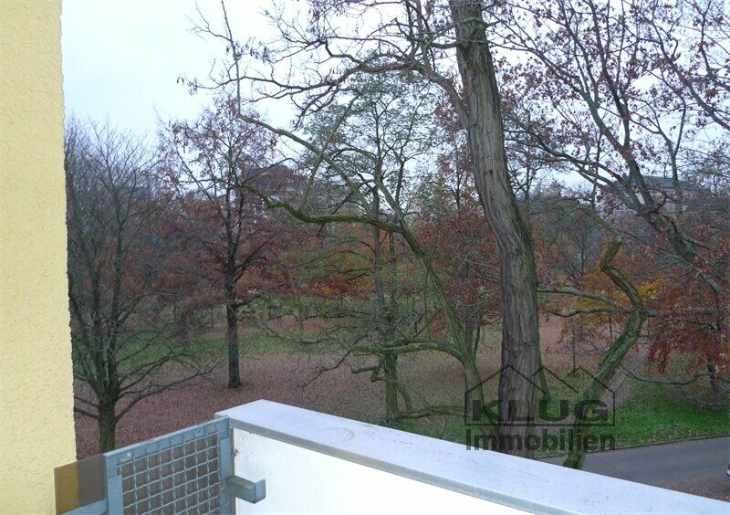 Ausblick vom Balkon