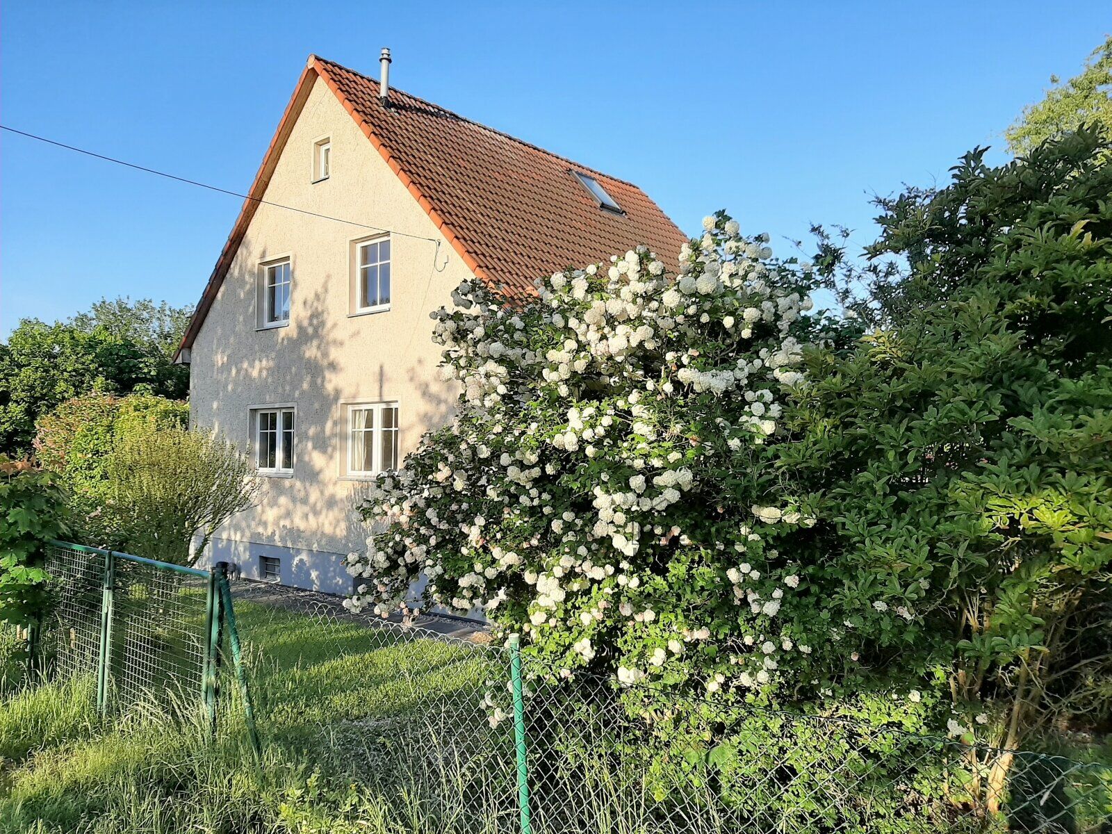 Seitenansicht vorne rechts