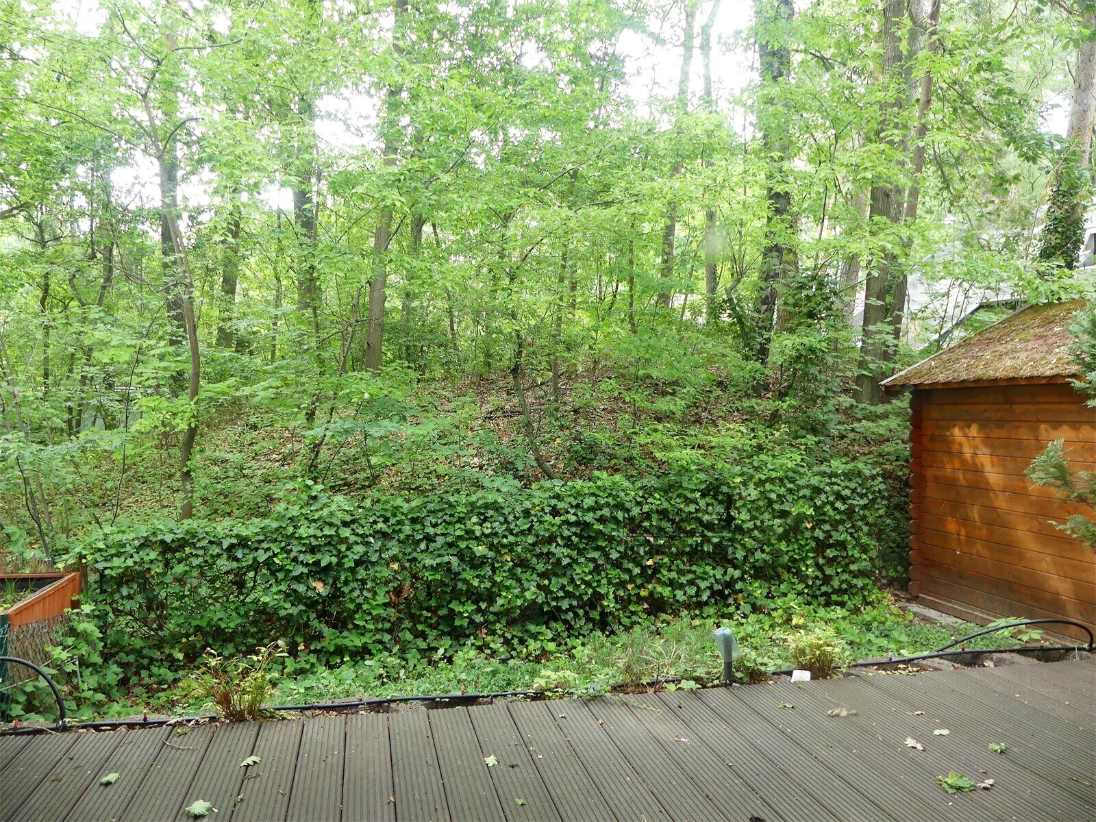 Terrasse mit Waldblick