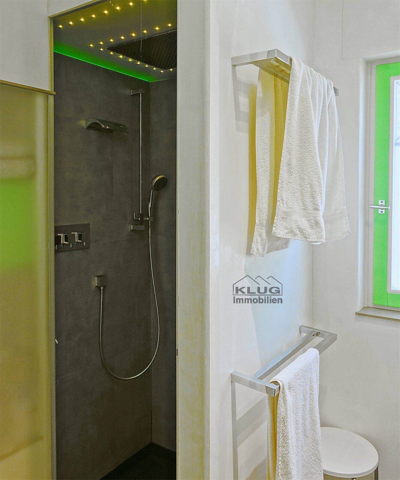 Bad WC mit Dusche im EG