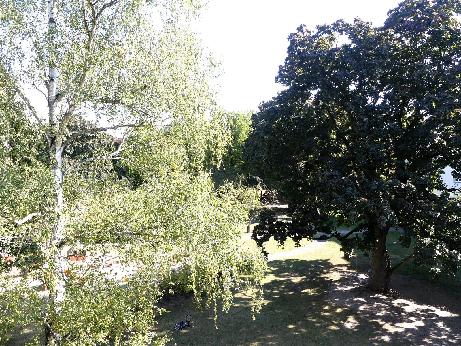 Ausblick vom Balkon