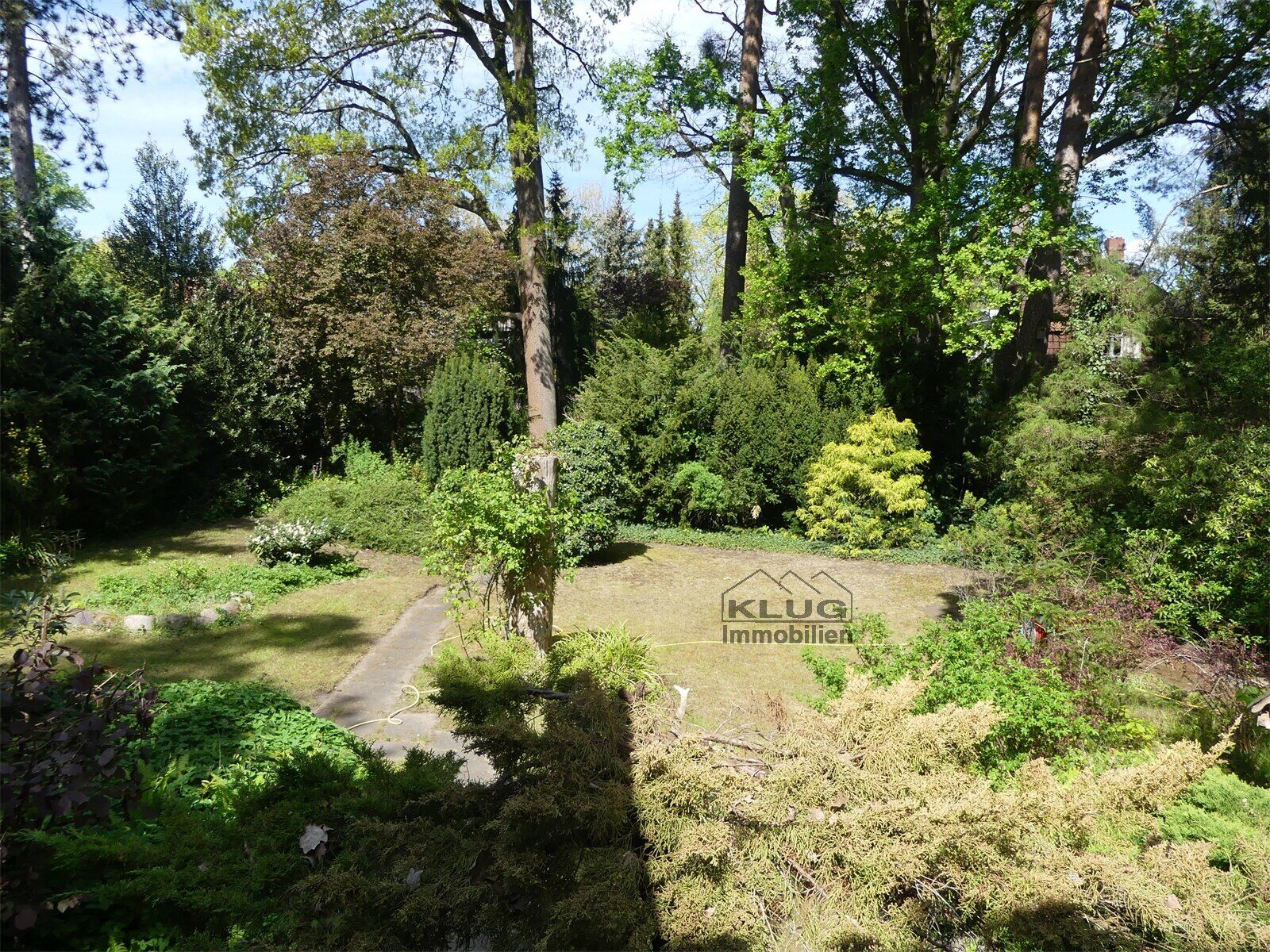 Blick in den Garten