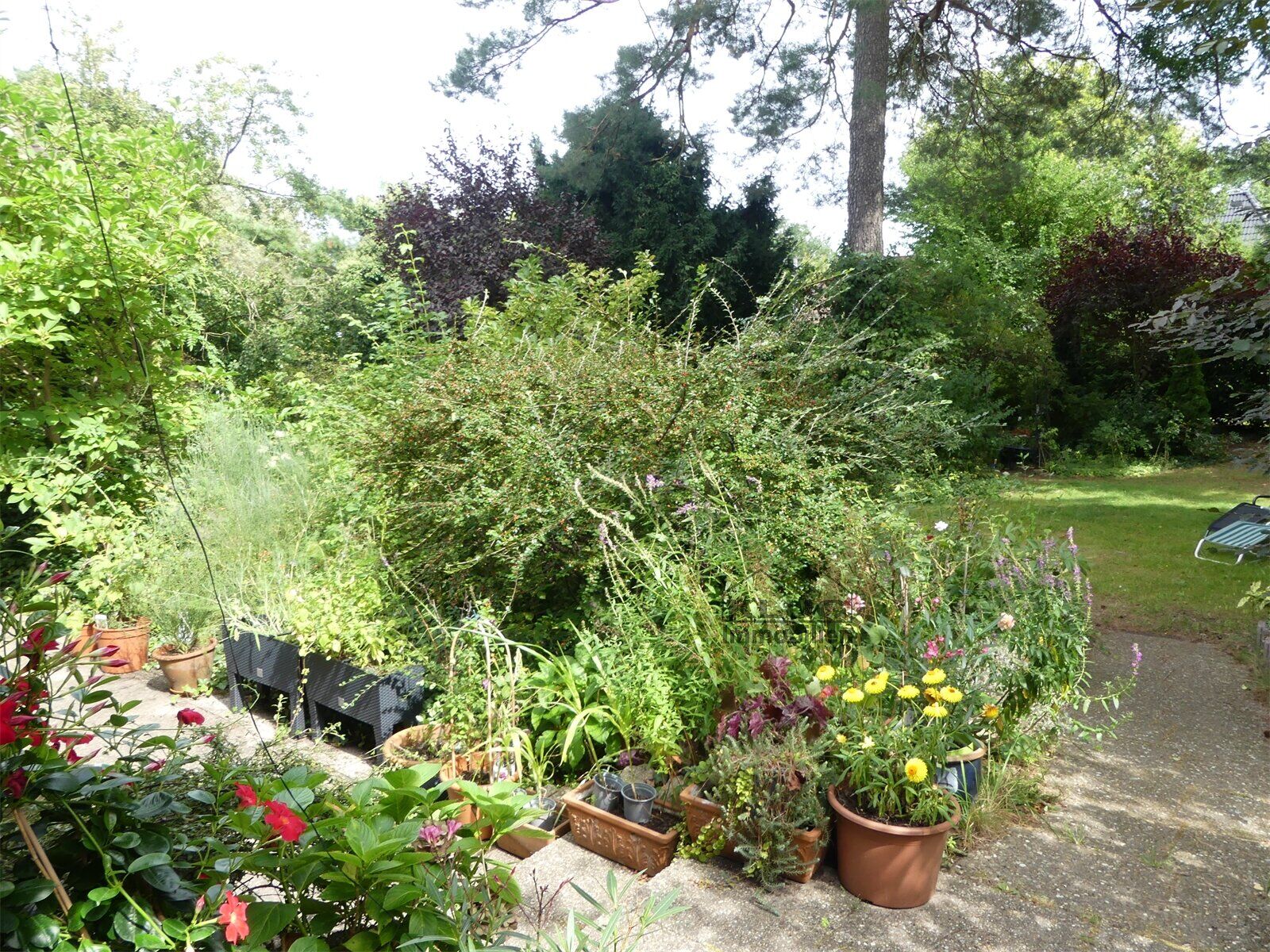 Blick von der Terrasse
