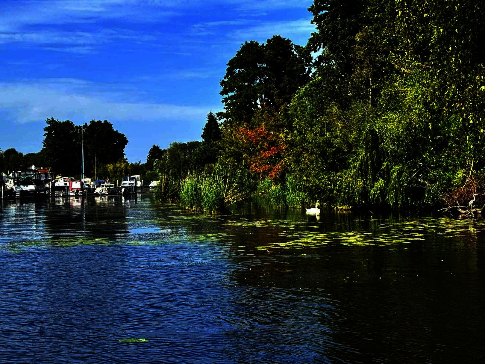 Blick zur Marina