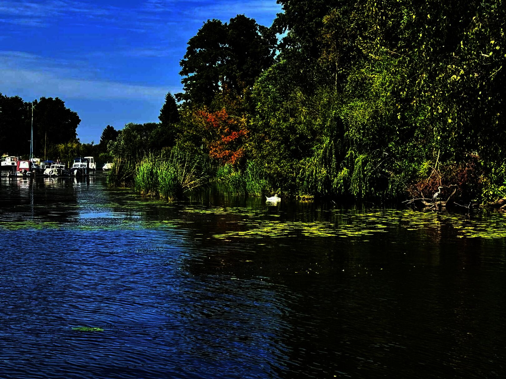 Natur pur