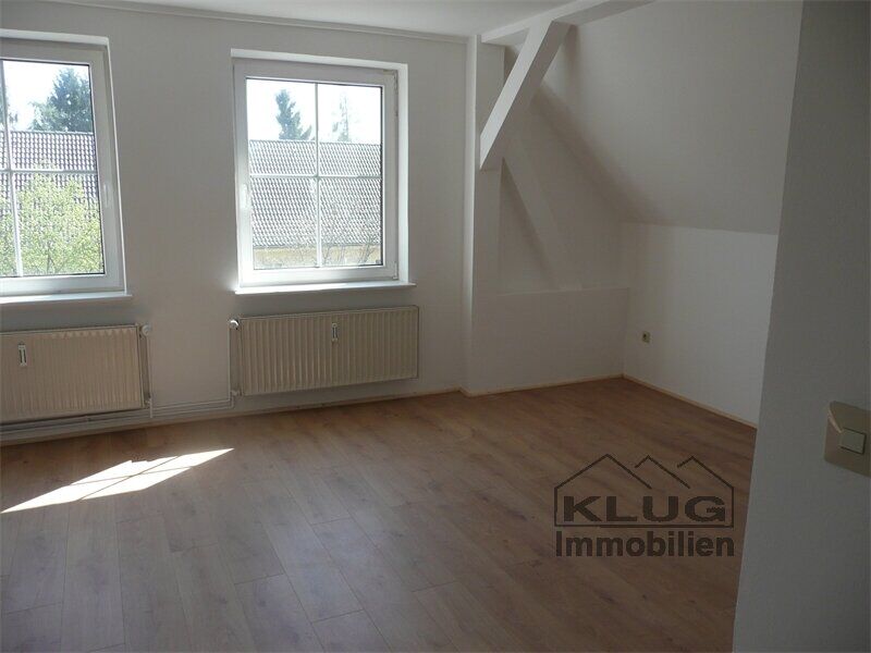Zimmer DG 6