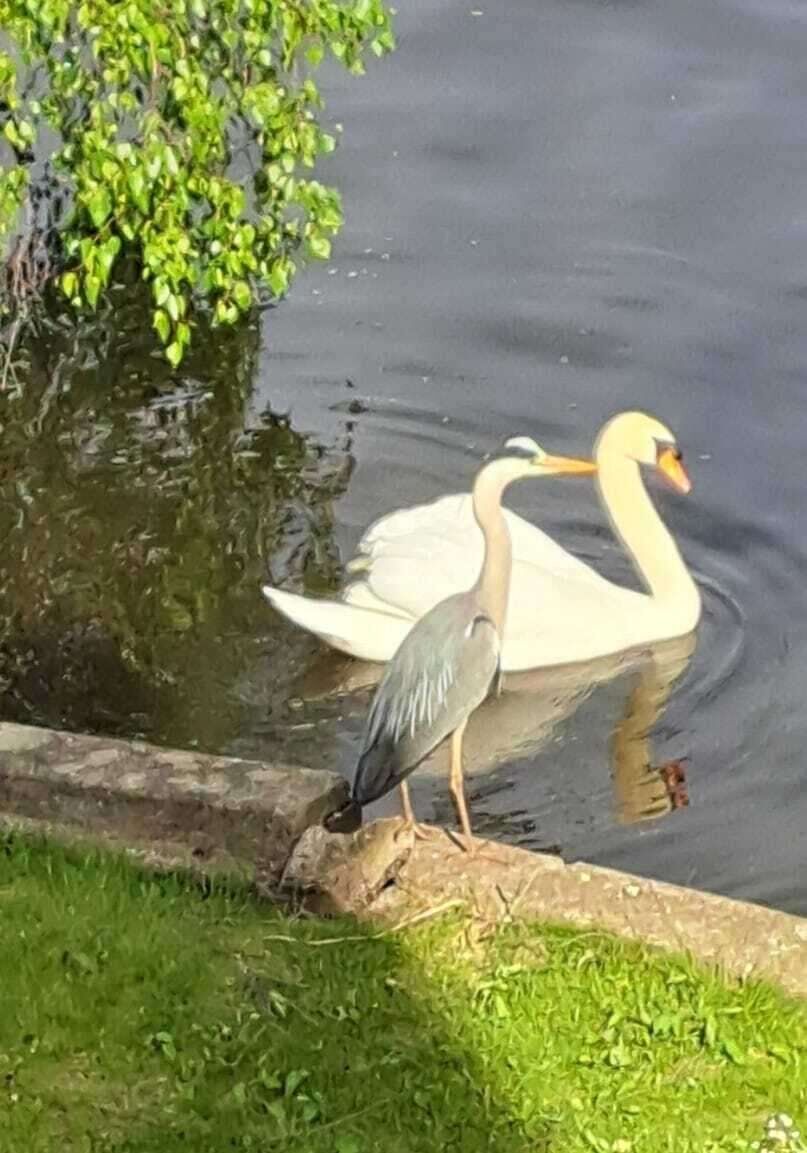 Natur vor der Haustür