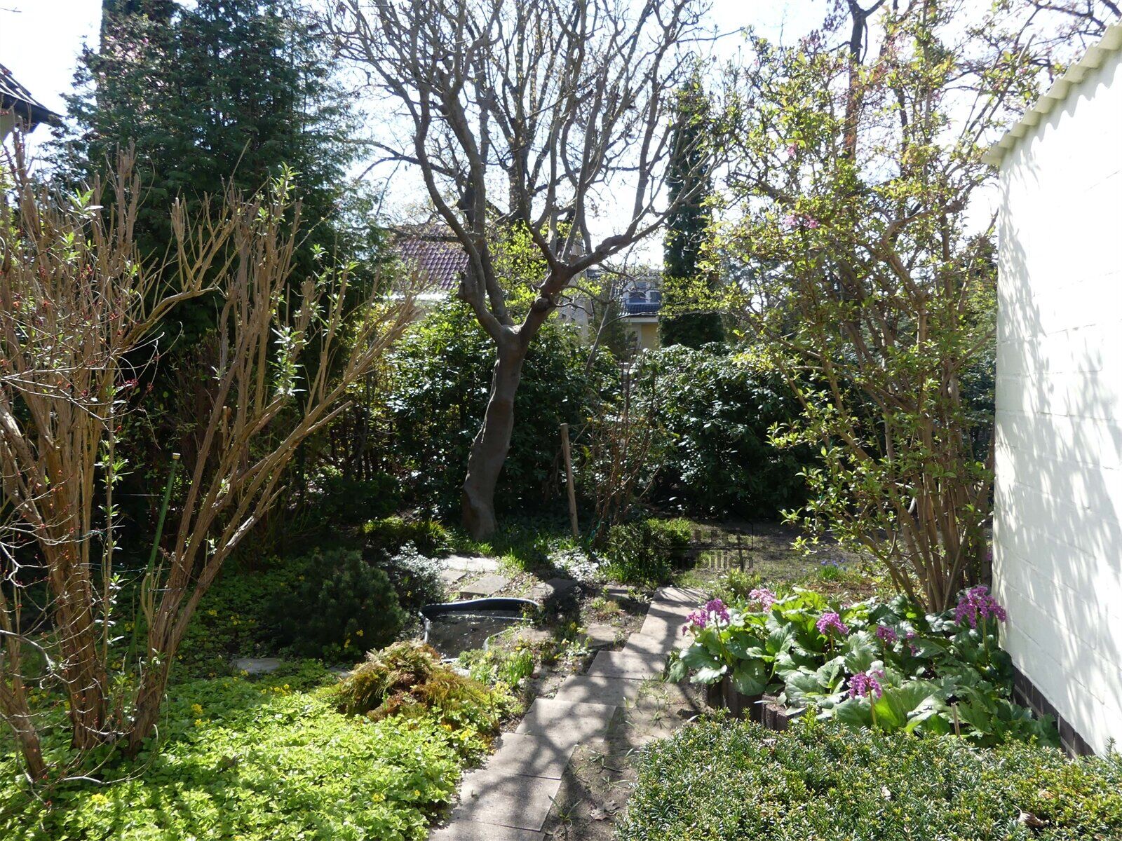 Seitliche Gartenansicht