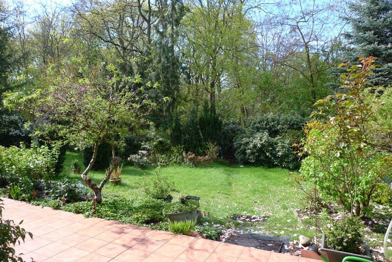 Blick in den Garten