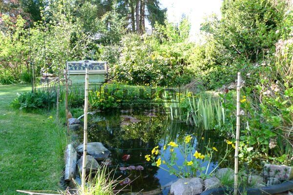 Gartenteich