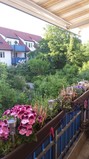 03 - Blick vom Balkon in die Garten