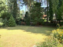 04 - Sonniger Garten