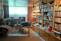 14 - Tagesbelichtetes Arbeitszimmer