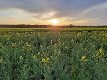 03 - Herrlicher Ausblick über die F