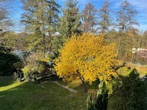 10 - Herbst - Blick aus dem Wohnzim