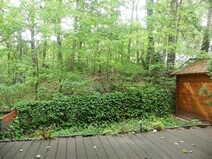 19 - Terrasse mit Waldblick