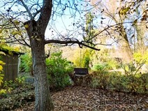 09 - Ausblick ins Naturschutzgebiet