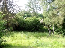 04 - Ausblick von der Terrasse ins