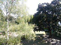 11 - Ausblick vom Balkon