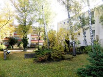 10 - Begrünter Hofbereich