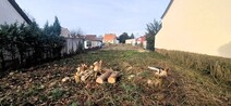05 - Bild 5