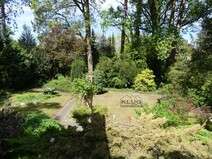 07 - Blick in den Garten