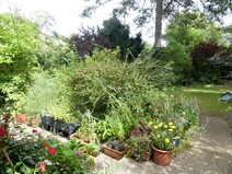 05 - Blick von der Terrasse
