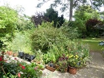 04 - Blick von der Terrasse