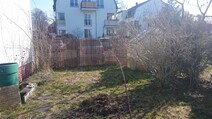 04 - 2016.03_Garten_03