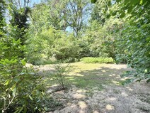 12 - Grundstück hinten