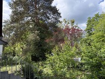 11 - Garten