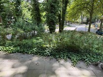 12 - Terrasse
