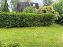 13 - Garten