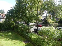11 - Grünblick in Richtung Ludolfin