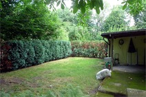 05 - Hinterer Gartenteil