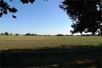 03 - Blick von der hinteren Grundst