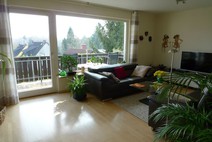 04 - Parkettwohnzimmer mit Balkon