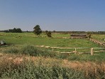 02 - Blick auf den Wald nahe Pferdekoppeln