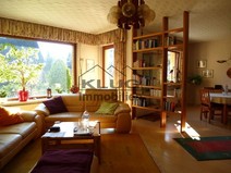 04 - Großes Wohn und Esszimmer